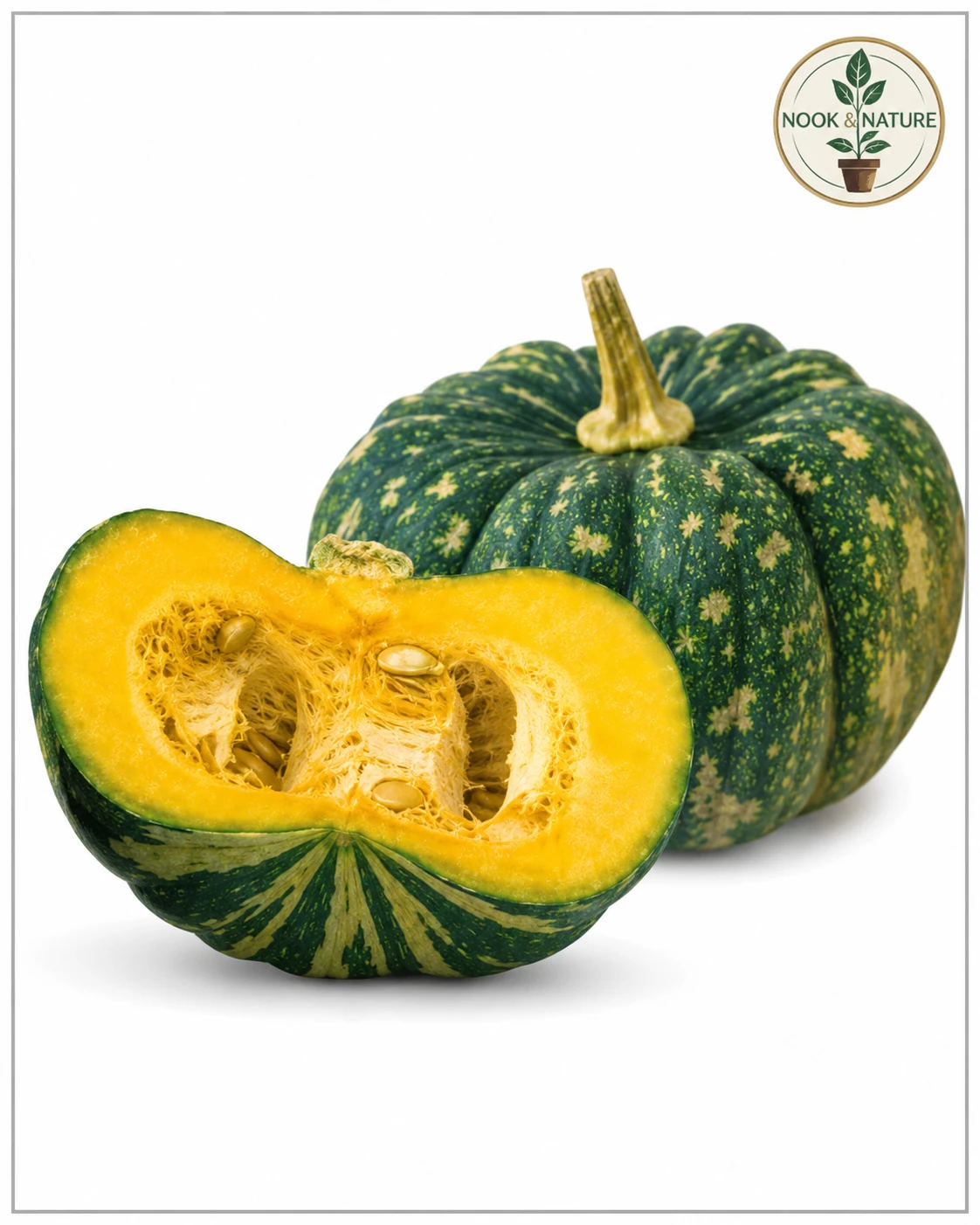 PUMPKIN BHEEMA