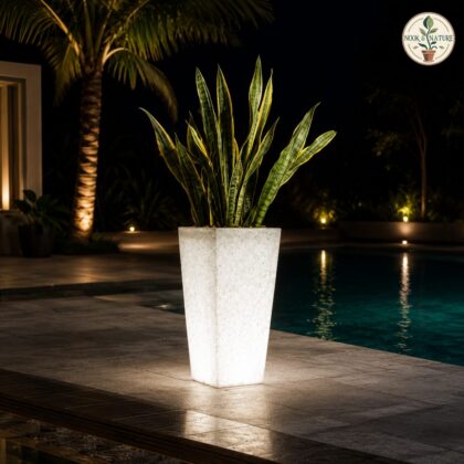 Paris Illuminated Planter