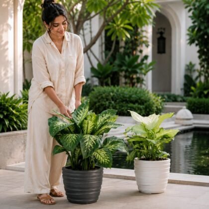 Phoenix Planter