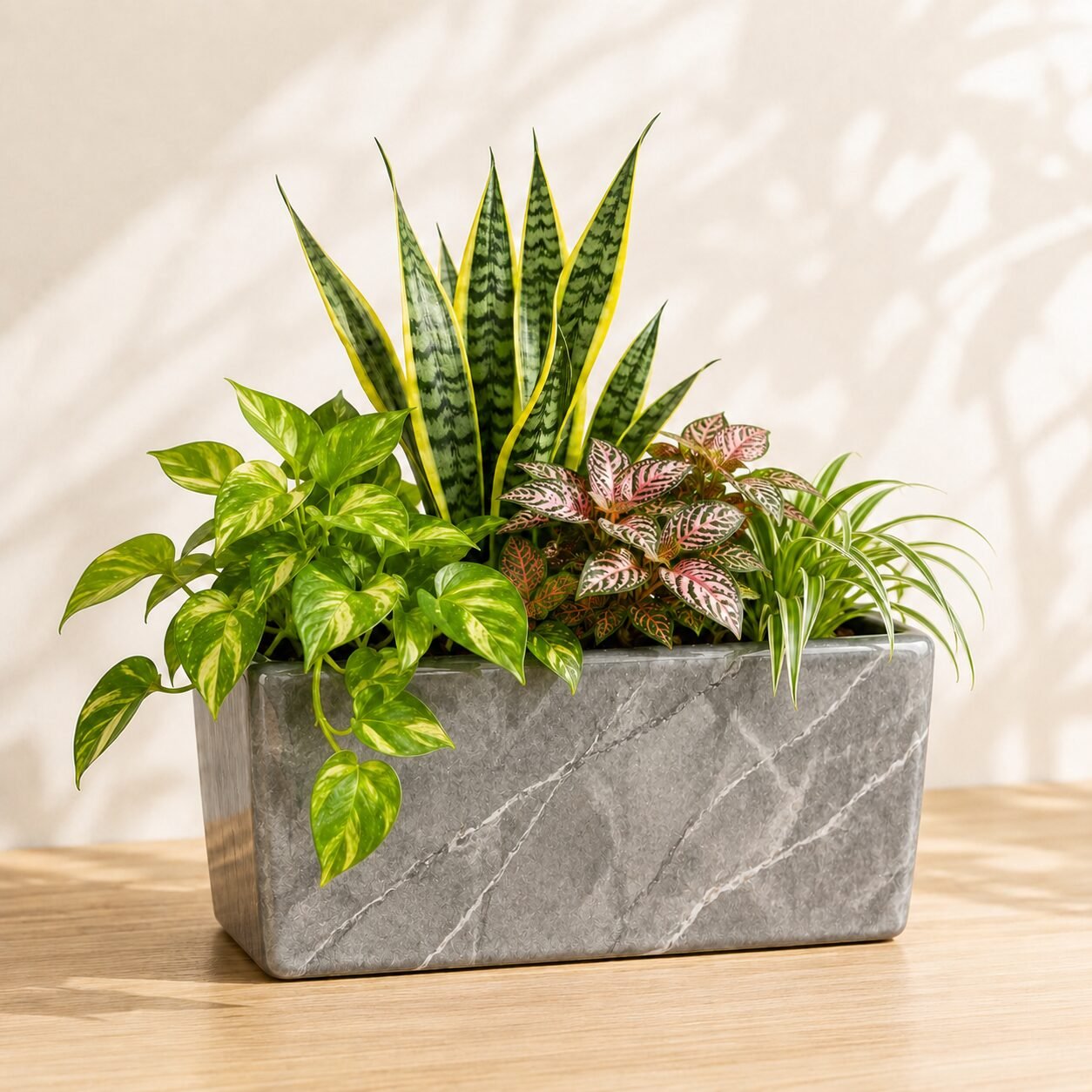 Quadro Planter - Image 3
