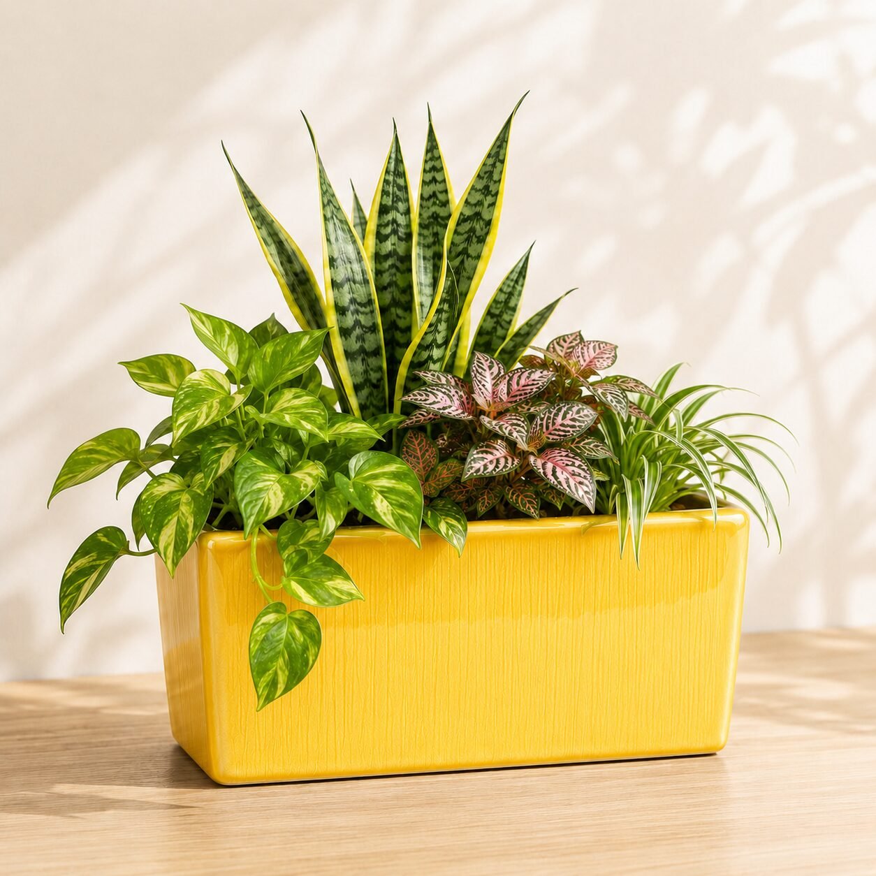 Quadro Planter - Image 14