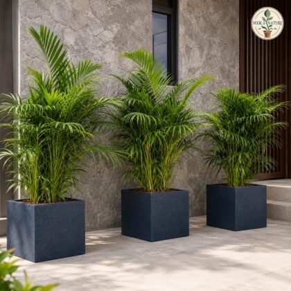 Quebec Square Planter