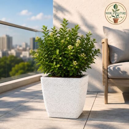 ROTO DOVE – Square Planter with Dot Finish Colour