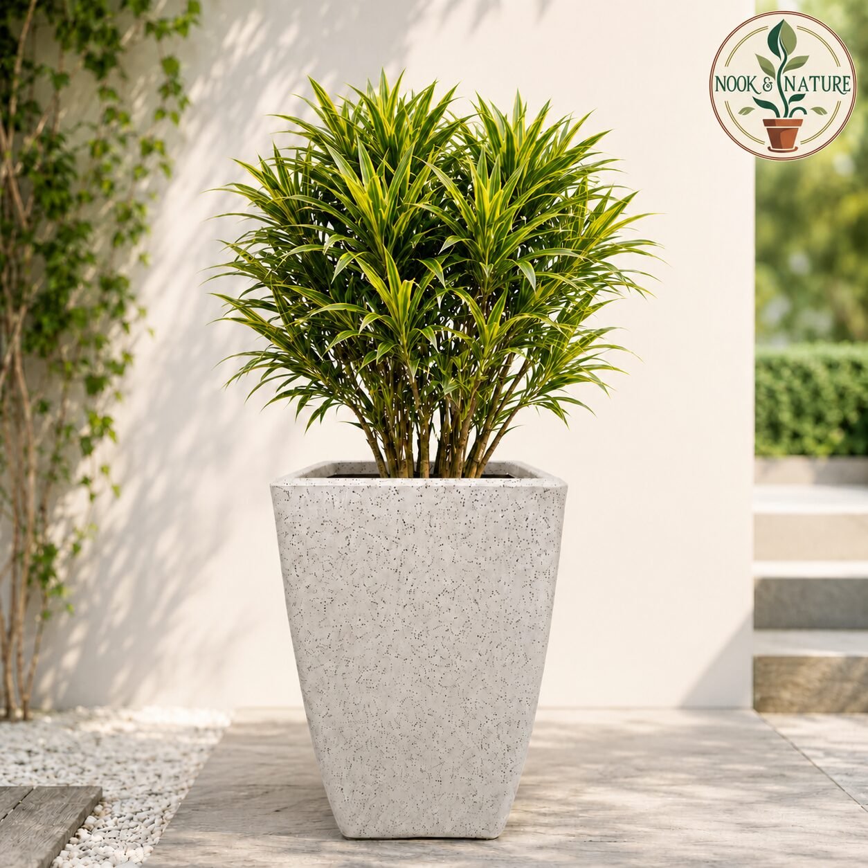 ROTO MOCHA Pot – Long Square Planter with Dot Finish Colour