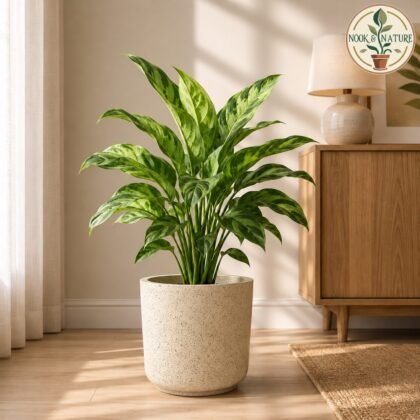 ROTO RS Pot Combo 13/16" – Round Planter with Dot Finish Colour