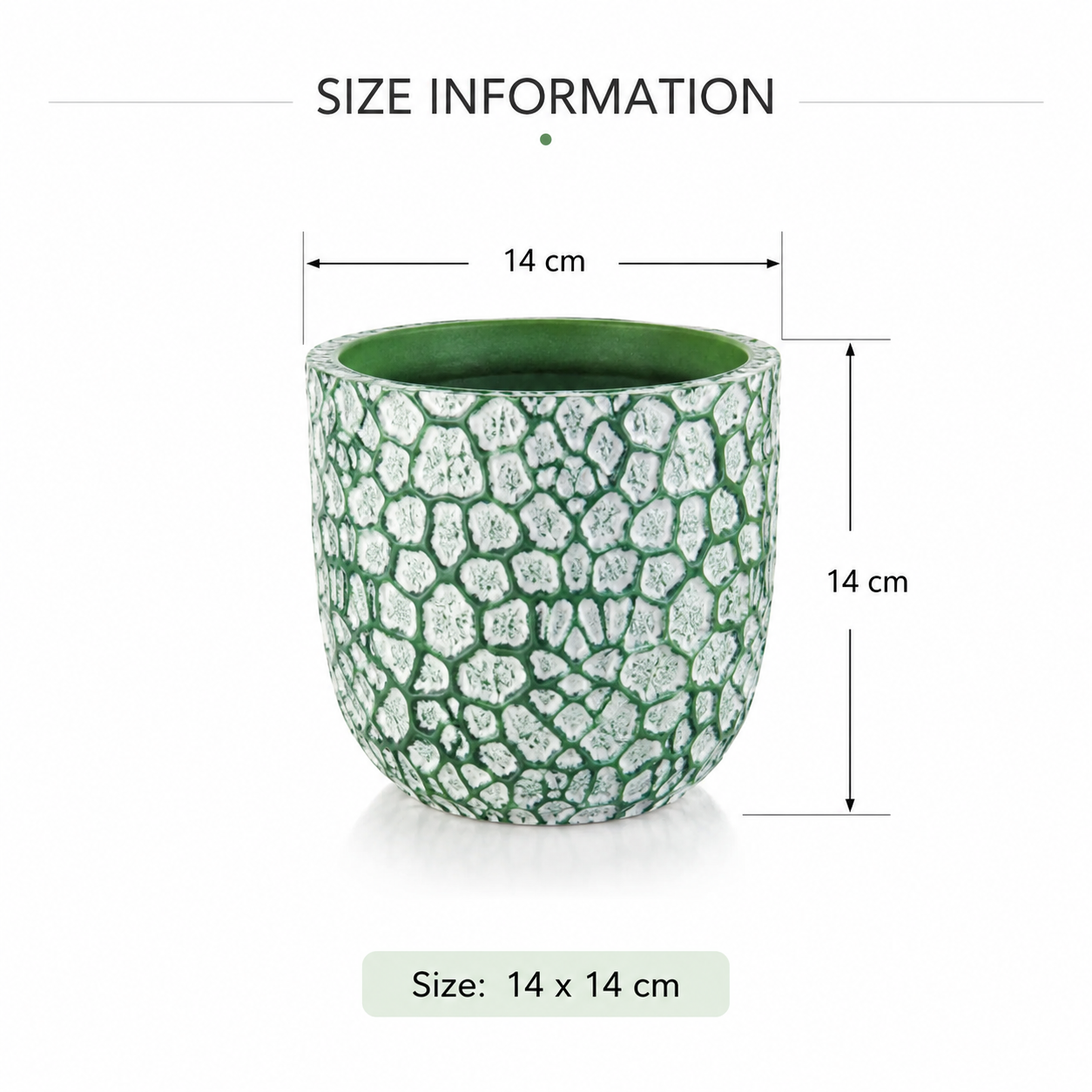 Rock Planter - Image 4