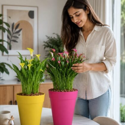 Rome Planter