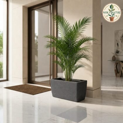 Roto Dove Canon Rectangle Planter with Dot Finish Color
