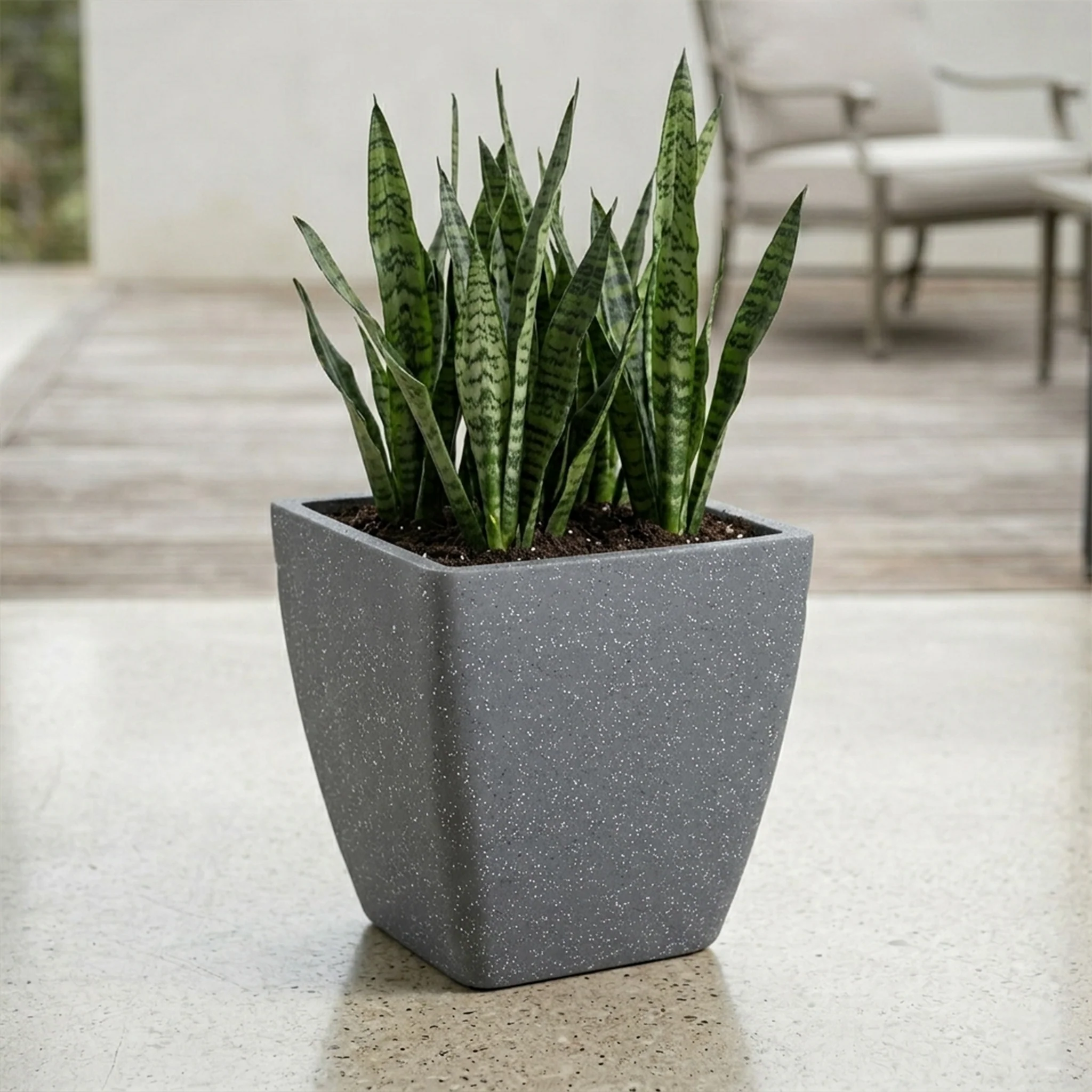 ROTO DOVE – Square Planter with Dot Finish Colour - Image 2