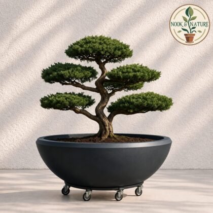 Roto ID 02 Big Round Pot