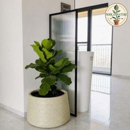 Roto Sigma Round Planter Pot 14x20"
