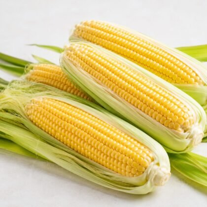 Sweet Corn