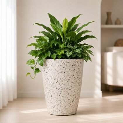 Cono Planter