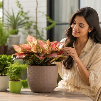 Verona Diamond Planter