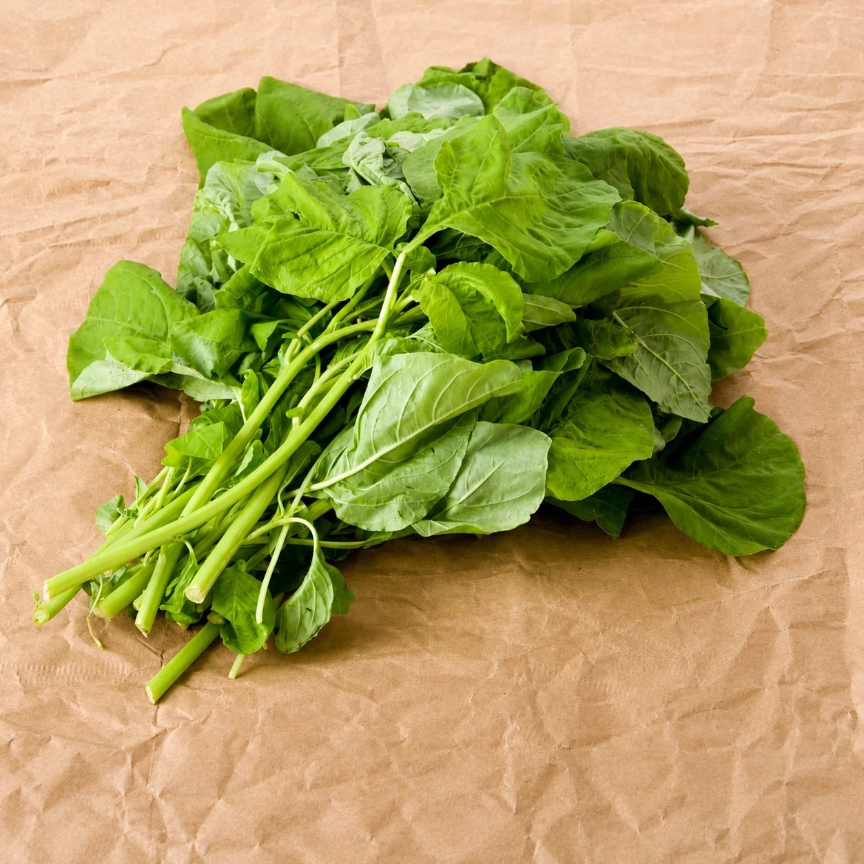 AMARANTHUS - GREEN - Image 2