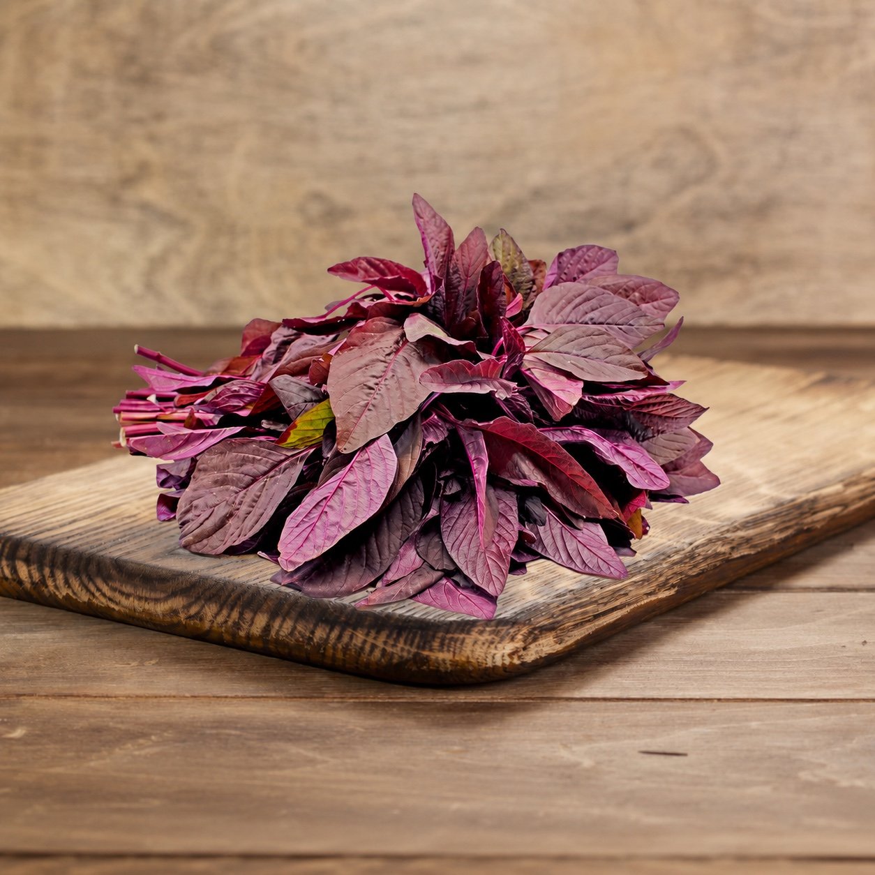 AMARANTHUS - RED - Image 2
