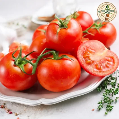 Tomato Round Hybrid
