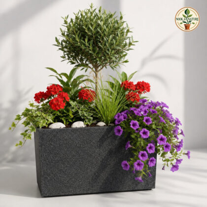 Altroz Window Planter