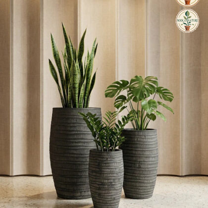 Areca Fiberglass Planters - Nook & Nature
