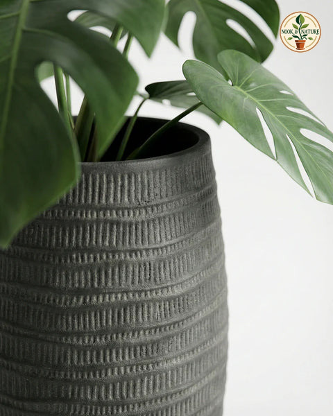 Areca Fiberglass Planters - Nook & Nature