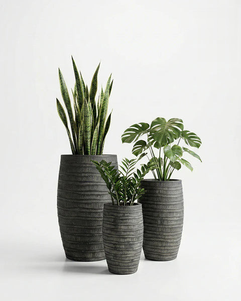 Areca Fiberglass Planters - Nook & Nature