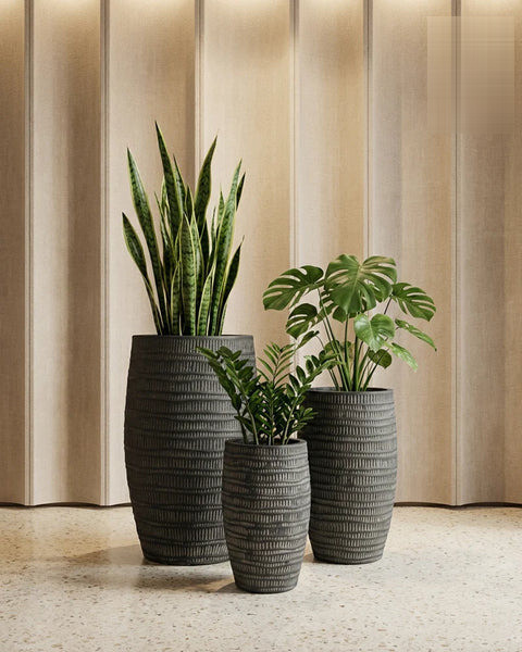 Areca Fiberglass Planters - Nook & Nature