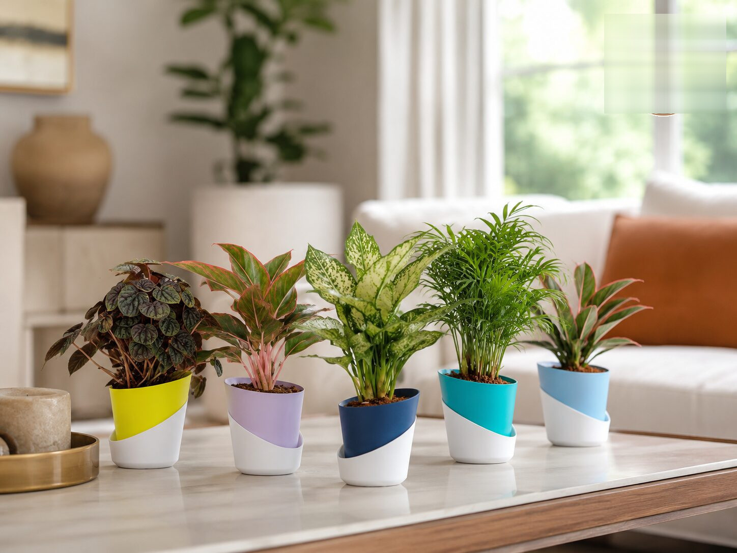 Atlantis Self-Watering Planter - Nook & Nature