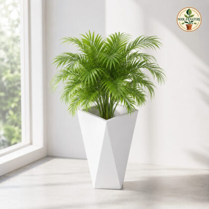 Aura Planter