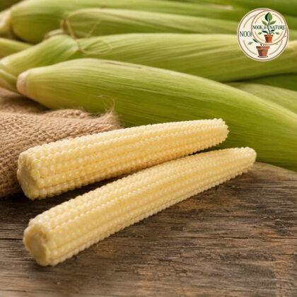 Baby Corn