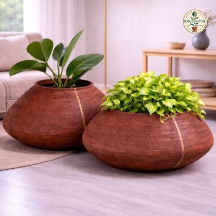Banana Fiberglass Planters Xxs - Nook & Nature