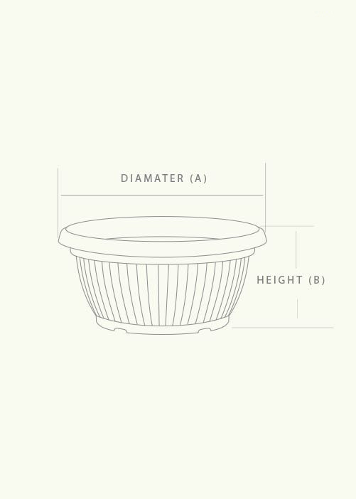 Bello Bowl Planter - Nook & Nature