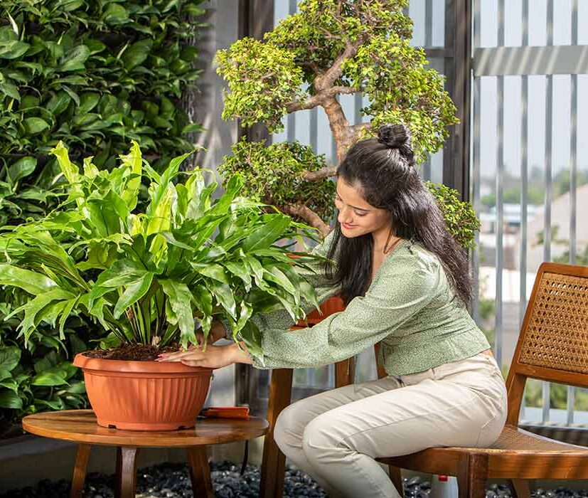 Bello Bowl Planter - Image 13