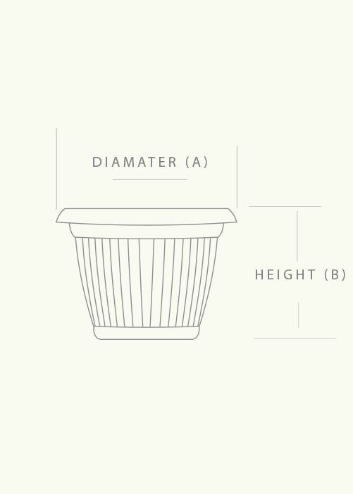 Bello Wall Planter - product image 2