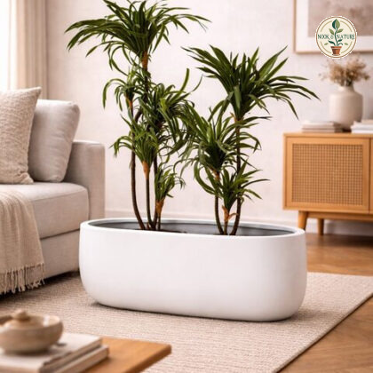 Boat Fiberglass Planter White S - Nook & Nature