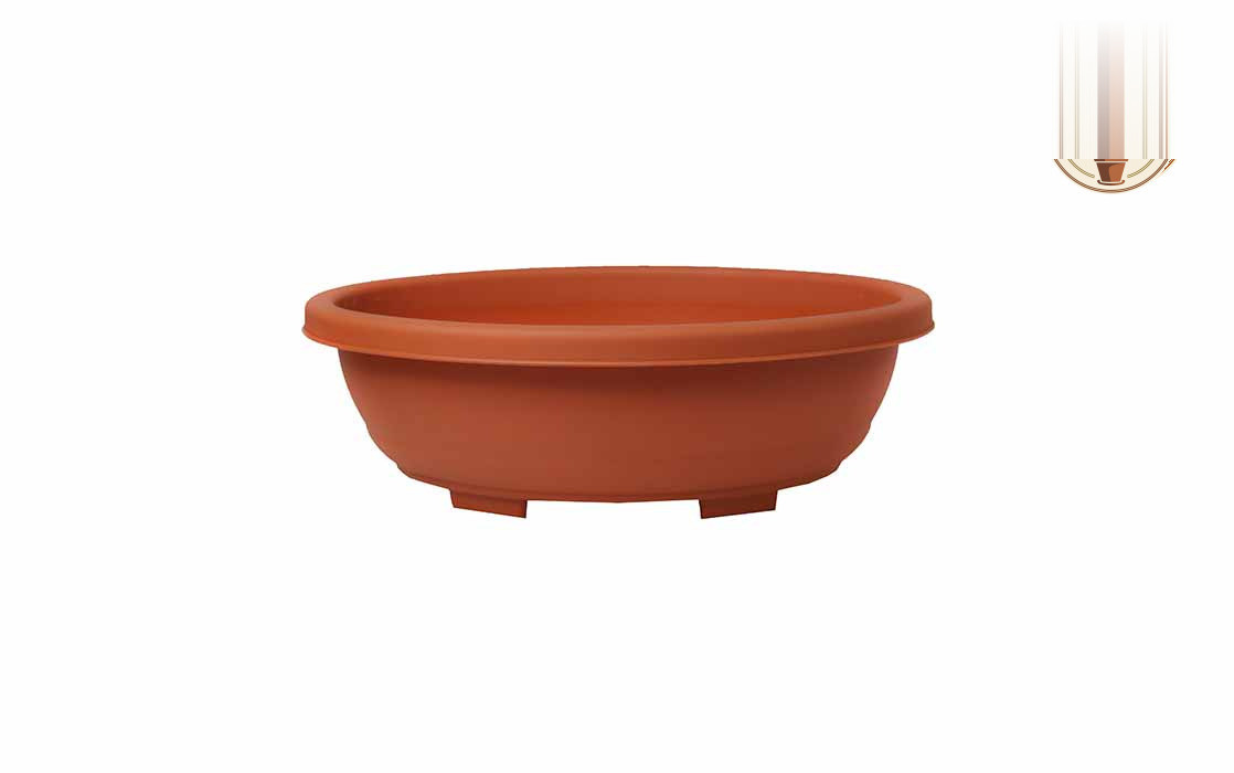 Bonsai Oval Planter Bonsai Oval Terracotta - Nook & Nature