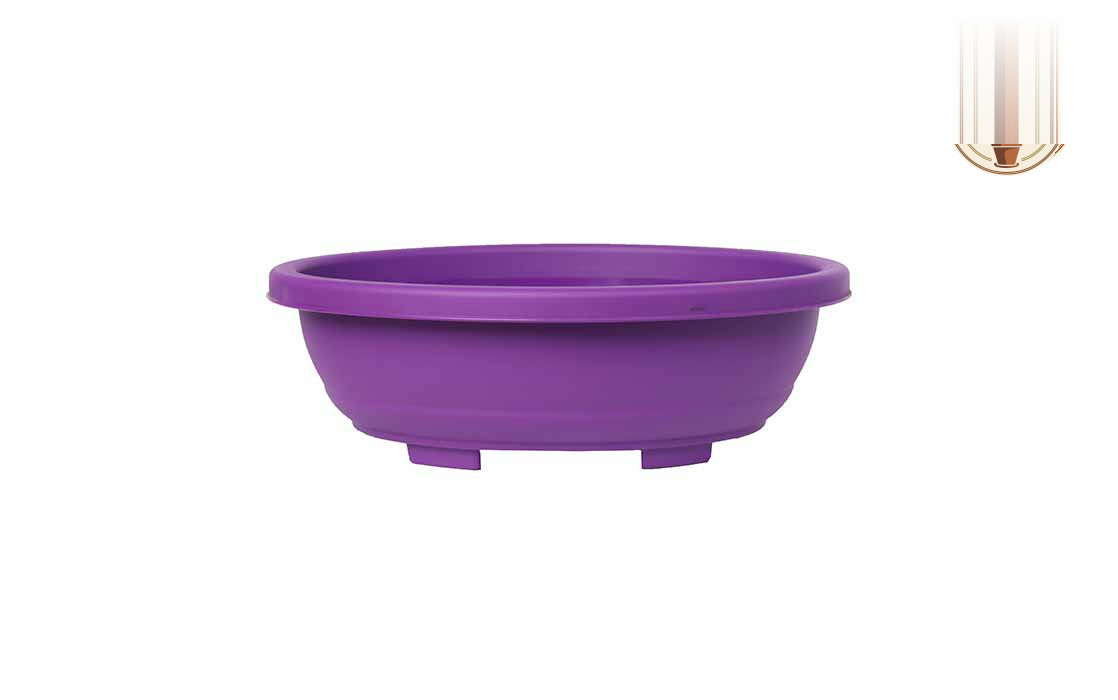 Bonsai Oval Planter Bonsai Oval Purple - Nook & Nature