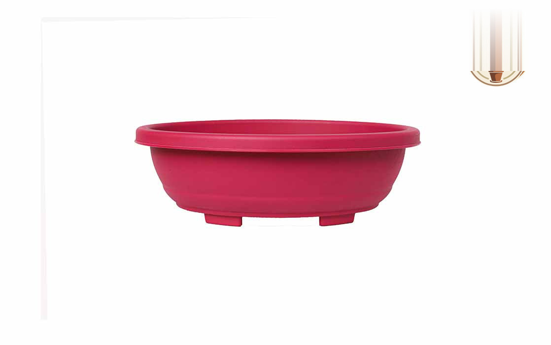 Bonsai Oval Planter Bonsai Oval Pink - Nook & Nature