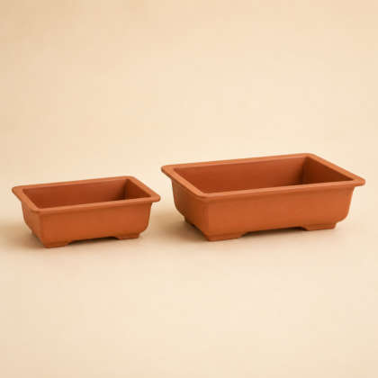 Bonsai Rectangular Planter - Nook & Nature