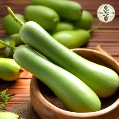 BOTTLE GOURD LONG - Nook & Nature