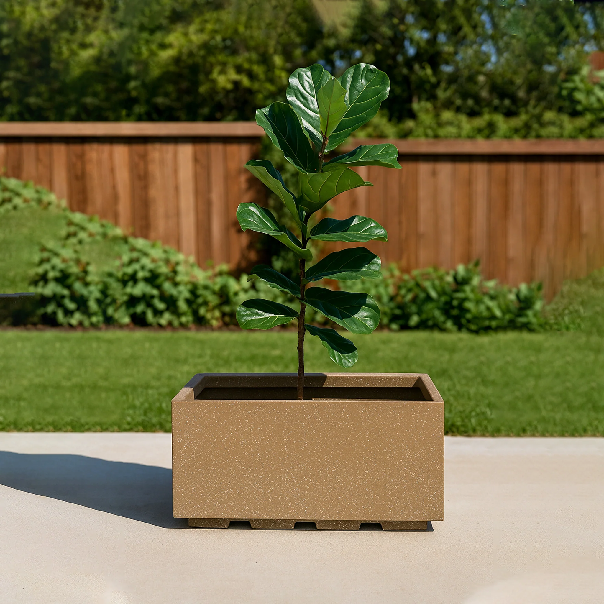 Roto Box Tray Rectangular Planter with Dot Finish Color - Image 2