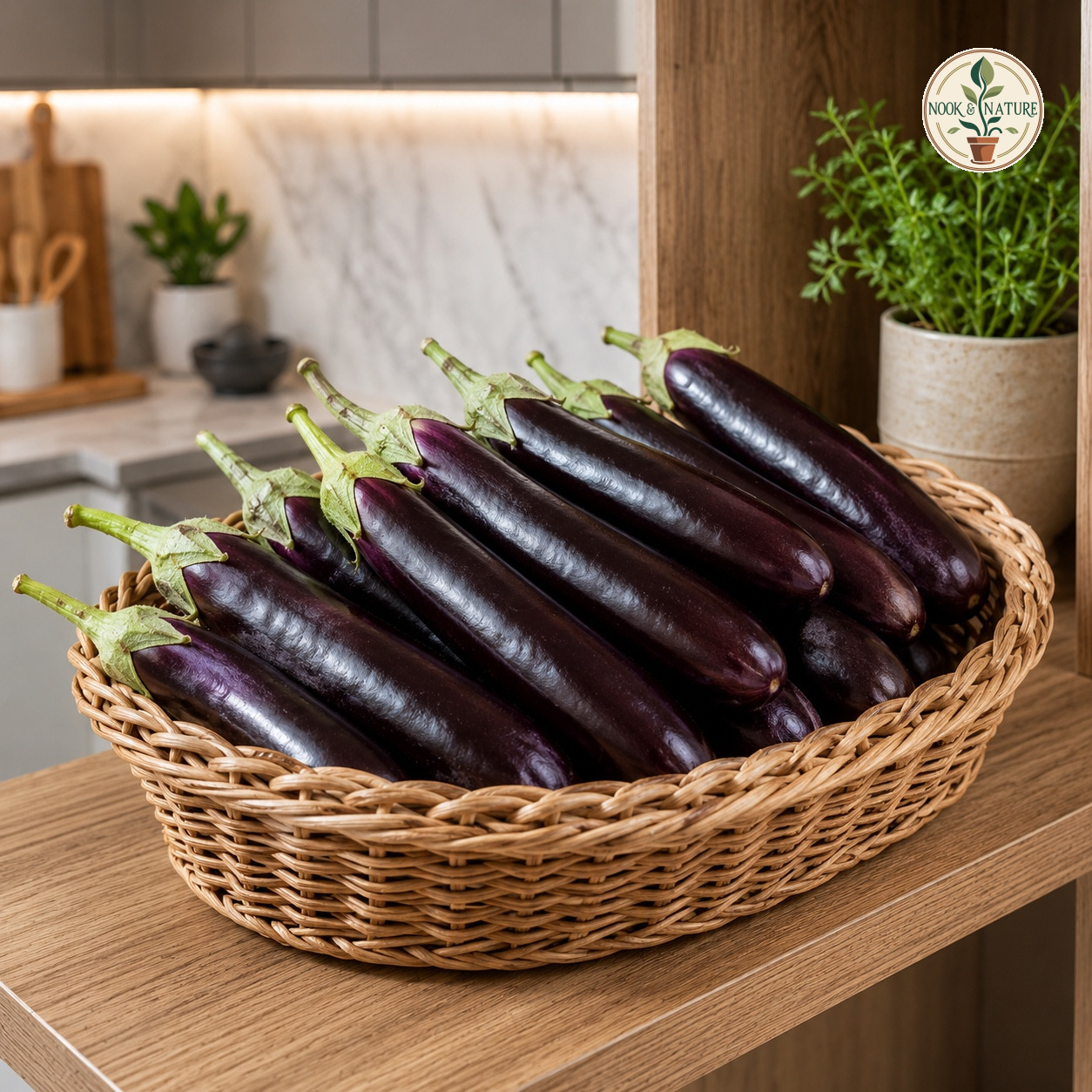 BRINJAL LONG PURPLE HYBRID - Nook & Nature