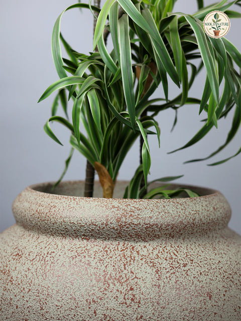 Broom Traditional Fiberglass Planter – Terra - Nook & Nature