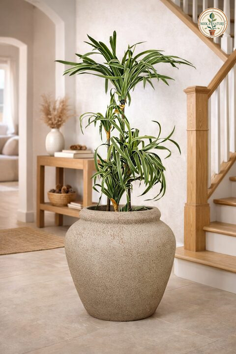 Broom Traditional Fiberglass Planter – Terra - Nook & Nature