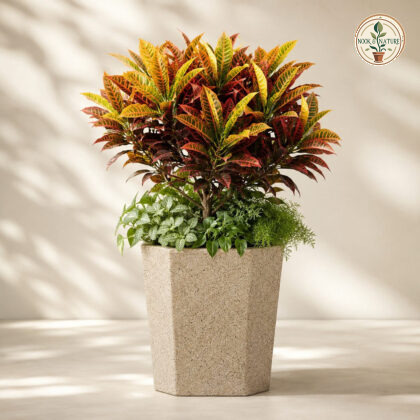 Capachino Planter