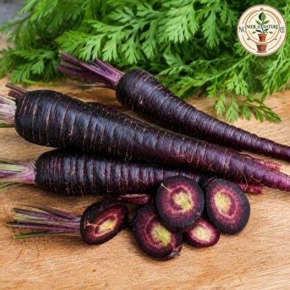 CARROT BLACK - Nook & Nature