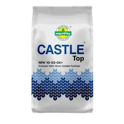 CASTLE Top NPK 10-50-06 + TE