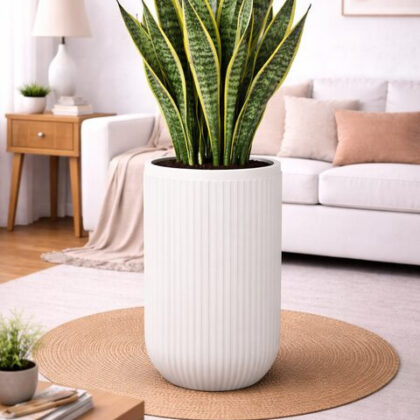 Orchid-A Fiberglass Planter – Oyster White