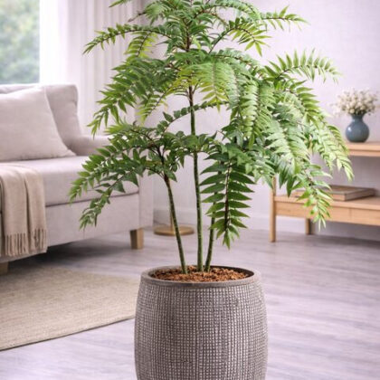 Norway Fiberglass Planters