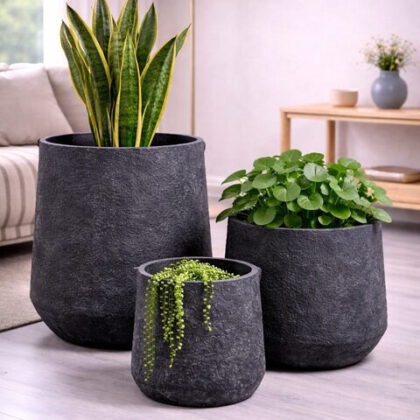 Pothos Fiberglass Planters