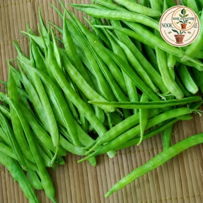 CLUSTER BEANS